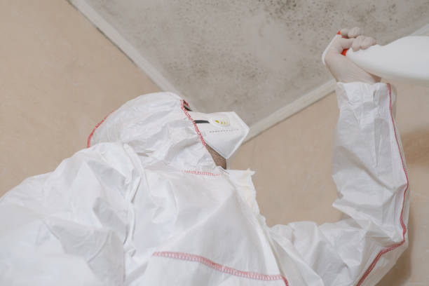 Crawl Space Mold Removal in Klamath Falls, OR