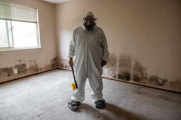 Best Mold Cleaning Services  in Klamath Falls, OR