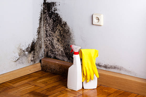 Best Mold Cleaning Services  in Klamath Falls, OR